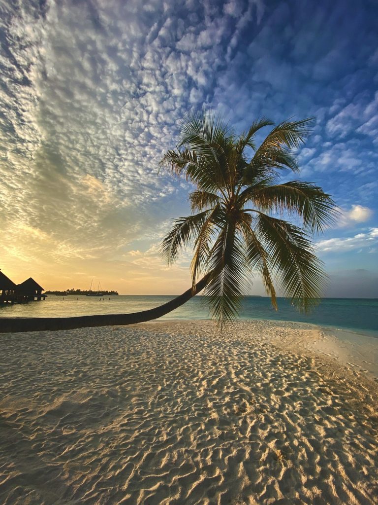 Tanzania Travel Update 2026